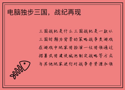 电脑独步三国，战纪再现